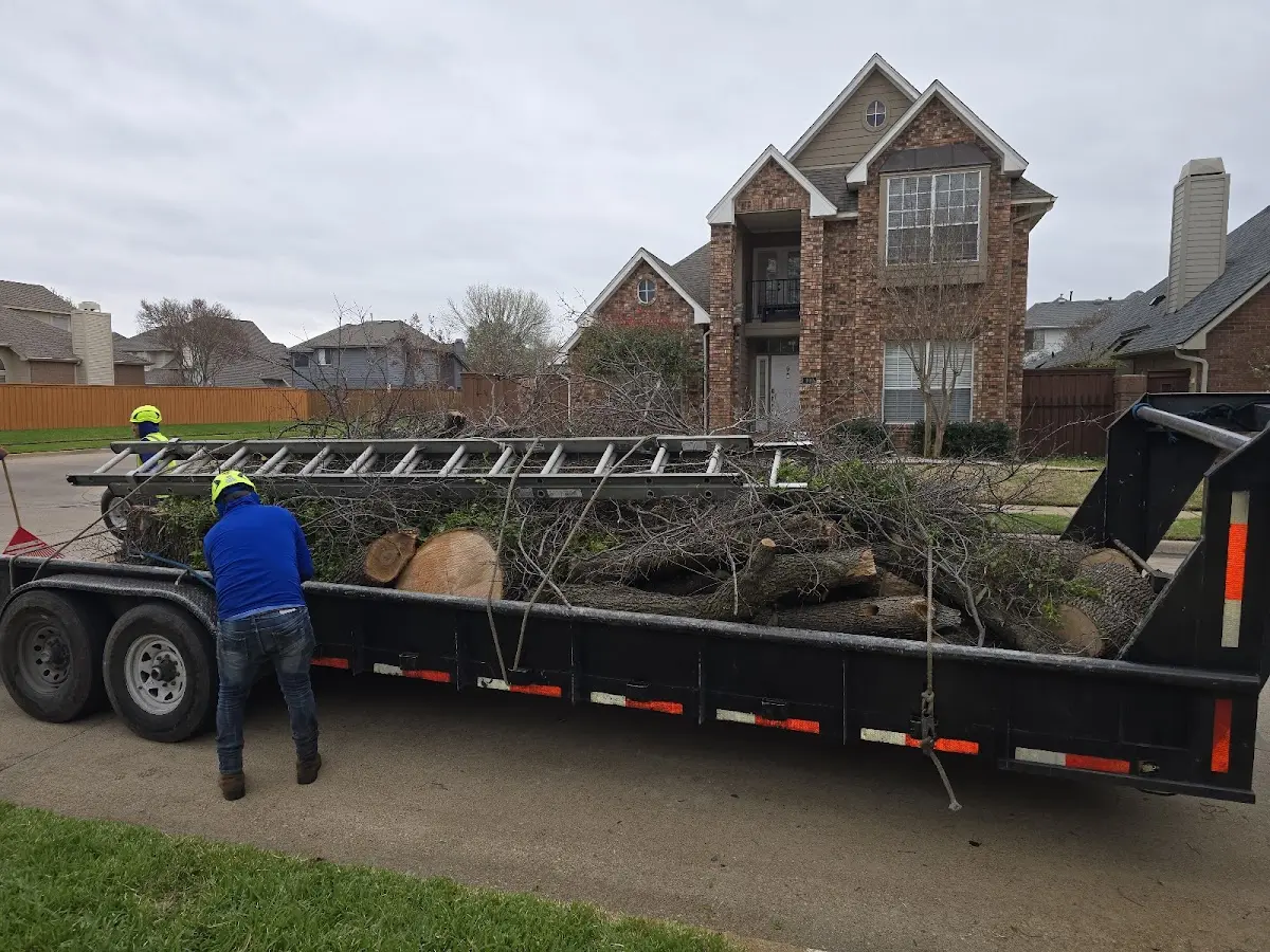 Expert Tree Pest Control with proper safety equipment in Eltopia